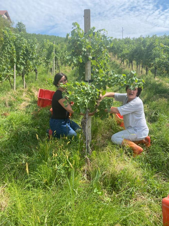 Trautenburg Stub'N Leutschach Eksteriør billede