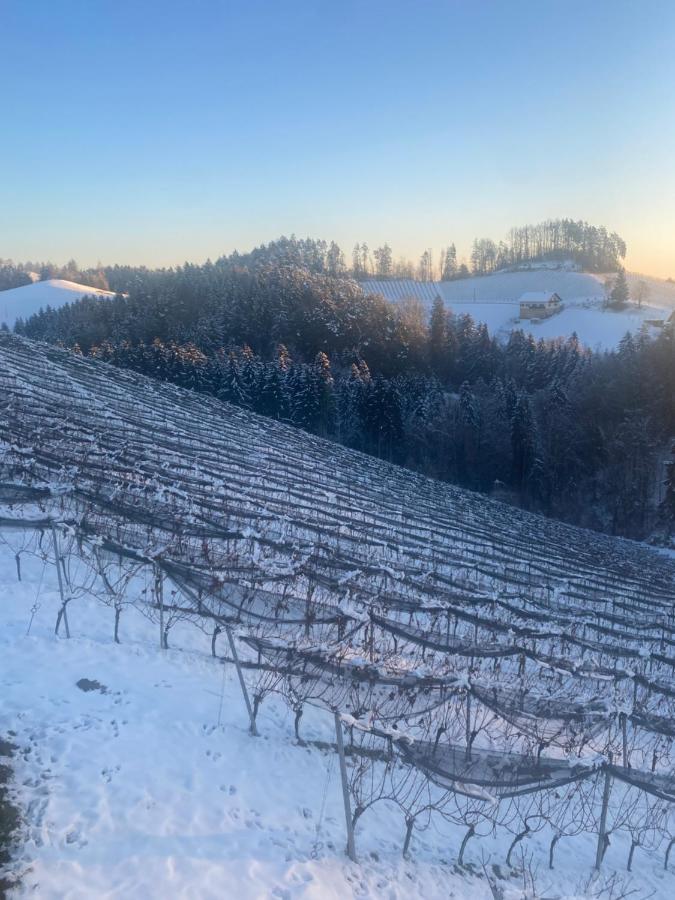 Trautenburg Stub'N Leutschach Eksteriør billede